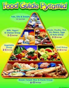 food_guide_pyramid